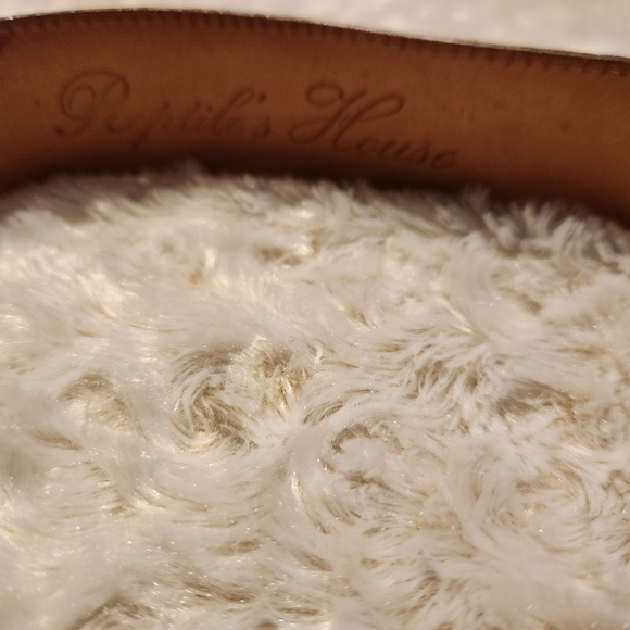 Python Belt Genuine Made In Italy Reptiles House Brass - Picture 4 of 10